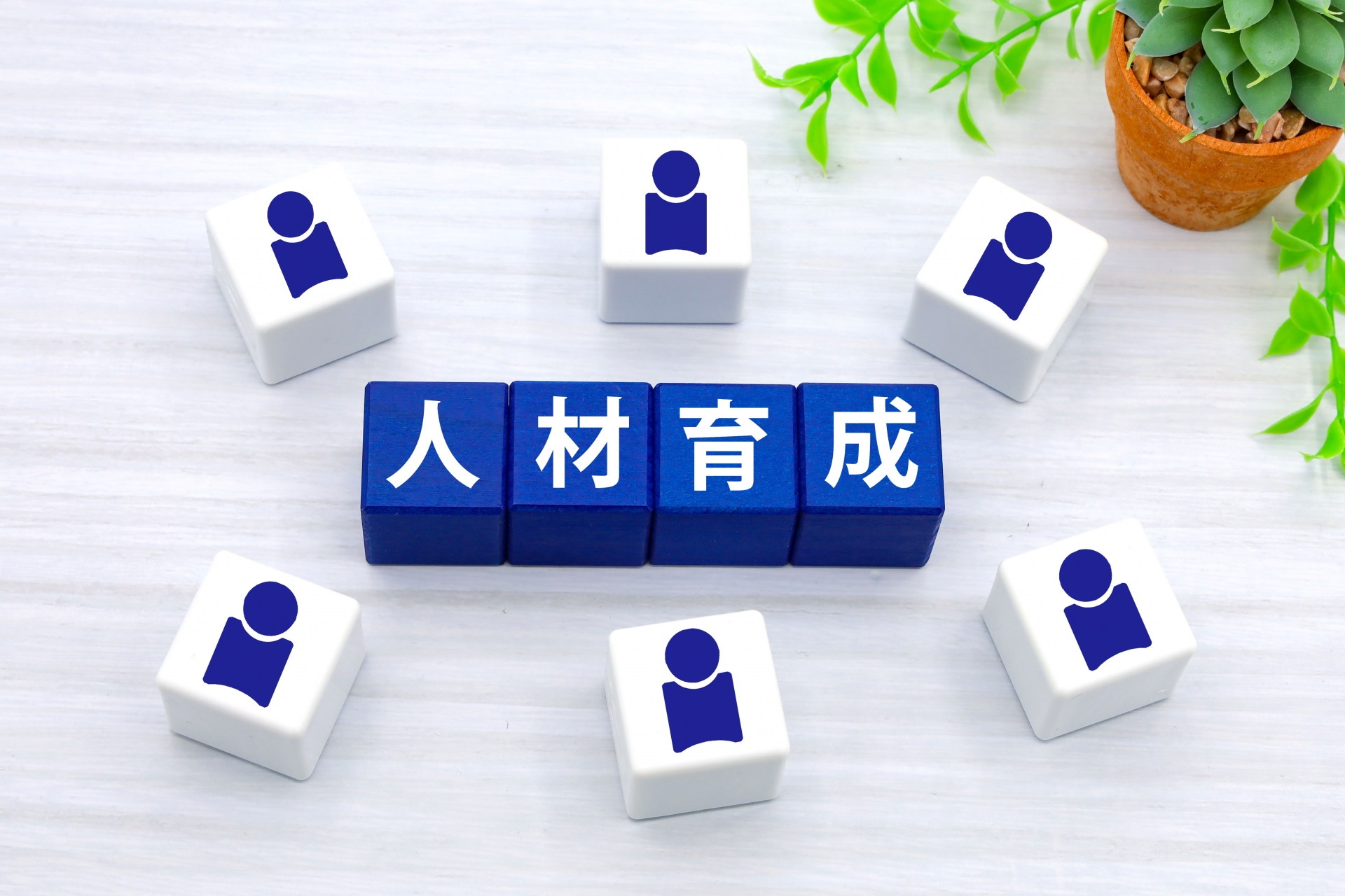 心理的スキルの向上に強い人材育成研修